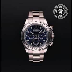 Rolex Cosmograph Daytona in White Gold, 116509 - Bucherer