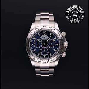 Rolex Cosmograph Daytona in White Gold, 116509 - Bucherer