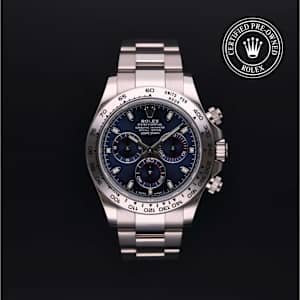 Rolex Cosmograph Daytona in White Gold, 116509 - Bucherer