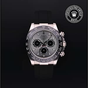 Rolex Cosmograph Daytona in Weissgold, 116519 - Bucherer