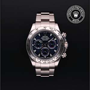Rolex Cosmograph Daytona in White Gold, 116509 - Bucherer