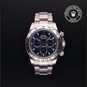 Rolex Cosmograph Daytona in Weissgold, 116509 - Bucherer