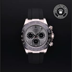 Rolex Cosmograph Daytona in Weissgold, 116519 - Bucherer