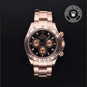 Rolex Cosmograph Daytona in Rose Gold, 116505 - Bucherer