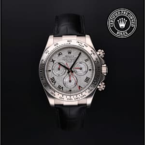Rolex Cosmograph Daytona in White Gold, 116519 - Bucherer