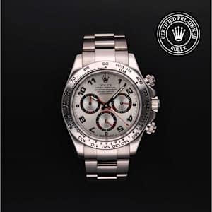 Rolex Cosmograph Daytona in White Gold, 116509 - Bucherer
