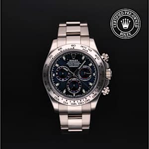 Rolex Cosmograph Daytona in White Gold, 116509 - Bucherer