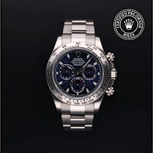 Rolex Cosmograph Daytona in White Gold, 116509 - Bucherer