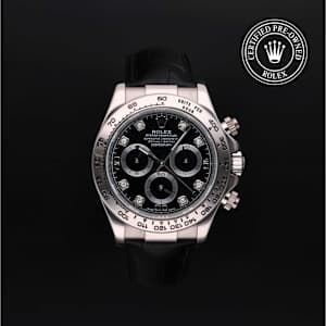 Rolex Cosmograph Daytona in White Gold, 116519 - Bucherer