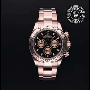Rolex Cosmograph Daytona in Rose Gold, 116505 - Bucherer