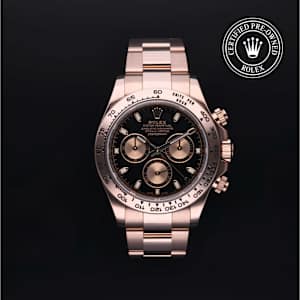 Rolex Cosmograph Daytona in Rose Gold, 116505 - Bucherer