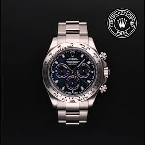 Rolex Cosmograph Daytona in White Gold, 116509 - Bucherer