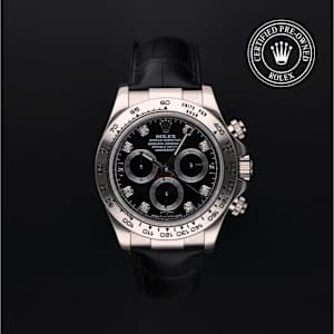 Rolex Cosmograph Daytona in White Gold, 116519 - Bucherer