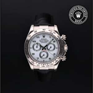 Rolex Cosmograph Daytona i Hvidguld, 116519 - Bucherer
