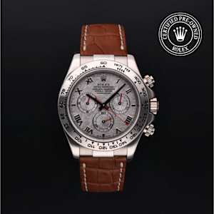 Rolex Cosmograph Daytona in White Gold, 116519 - Bucherer