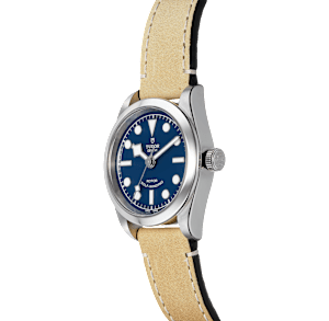Tudor Black Bay in Steel, M79580 - Bucherer
