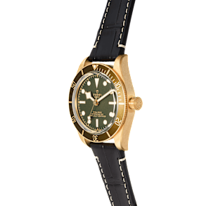 Tudor Black Bay in Yellow Gold, 79018V - Bucherer