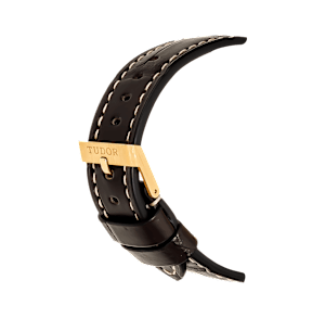 Tudor Black Bay in Yellow Gold, 79018V - Bucherer