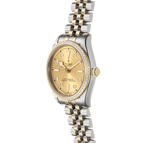 Tudor Black Bay in Bicolor, 79653 - Bucherer