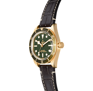 Tudor Black Bay in Yellow Gold, M79018 - Bucherer