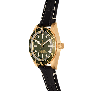 Tudor Black Bay in Yellow Gold, 79018V-0002 - Bucherer