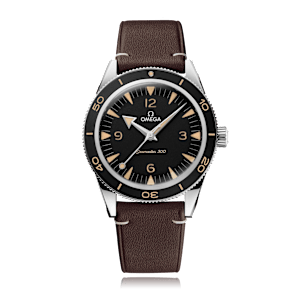 Omega Seamaster in Edelstahl, 234.32.41.21.01.001 - Bucherer