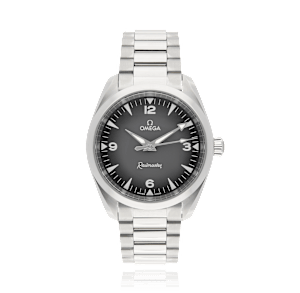 Omega Seamaster in Steel, 235.10.38.20.06.001 - Bucherer
