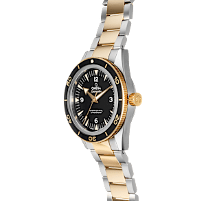 Omega Seamaster in Bicolor, 233.20.41.21.01.002 - Bucherer