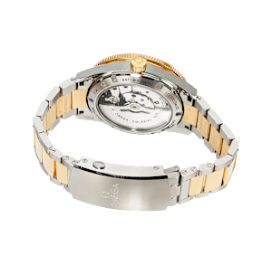 Omega Seamaster in Bicolor, 233.20.41.21.01.002 - Bucherer