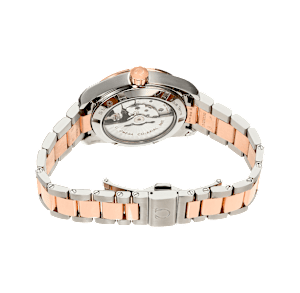 Omega Seamaster in Bicolor, 231.20.39.22.06.001 - Bucherer