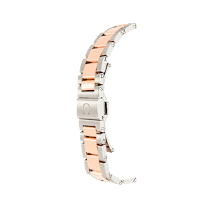 Omega Seamaster in Bicolor, 231.20.39.22.06.001 - Bucherer