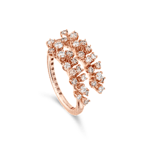 Damiani en , 20100612 - Bucherer
