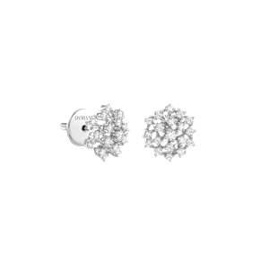 Damiani Mimosa in , 20106422 - Bucherer
