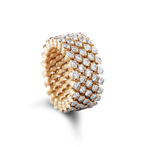 Serafino Consoli Brevetto Collection en , RMS 5F2 RG WD - Bucherer