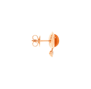 Bouton,