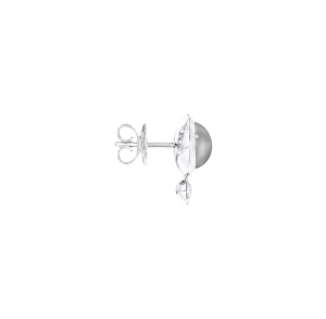 Bouton,