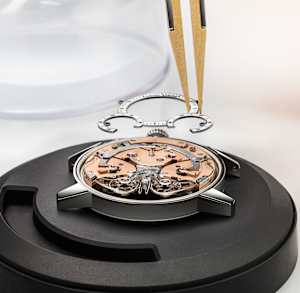 Mirrored Force Resonance Zeitgeist Steel
, 