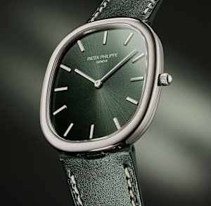 Patek Philippe Ellipse d'Or in Weissgold, 3738/100G-014 - Bucherer