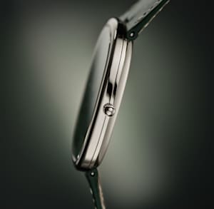 Patek Philippe Ellipse d'Or in Weissgold, 5738G-001 - Bucherer