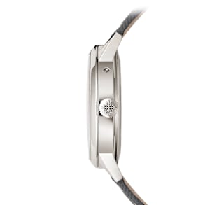 Patek Philippe Complications in Platinum, 5236P-011 - Bucherer