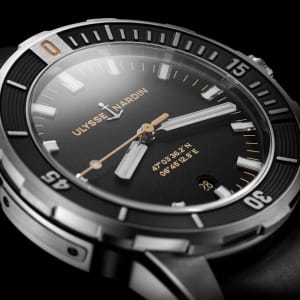 Diver
,