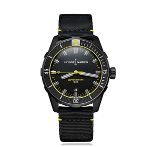 Diver,