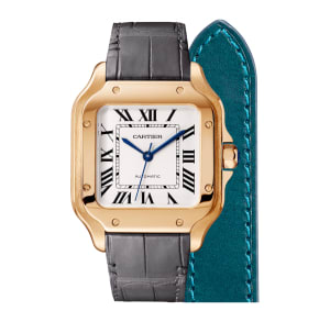 Santos de Cartier ,