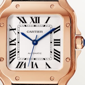 Santos de Cartier ,