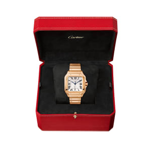 Santos de Cartier ,