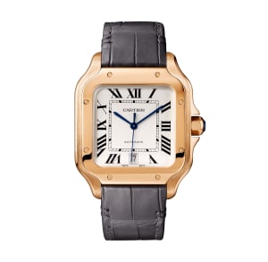 Santos de Cartier ,