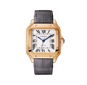 Santos de Cartier ,