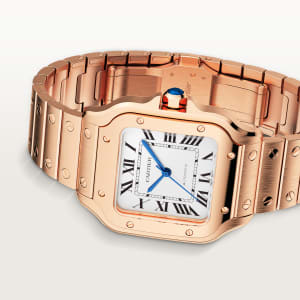 Santos de Cartier ,