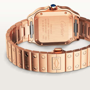 Santos de Cartier ,