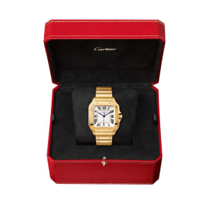 Santos de Cartier ,